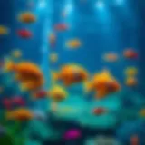 A vibrant underwater scene showcasing colorful fish in a digital format.