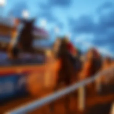 An action shot of horses racing during a major event at the Pompano Horse Track.